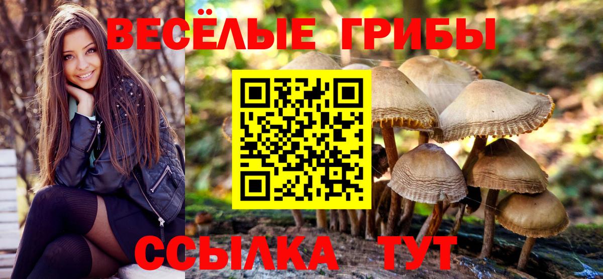 Псилоцибиновые грибы прущие грибы  Вход с VPN  Орёл 